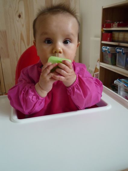11 May cucumber.jpg